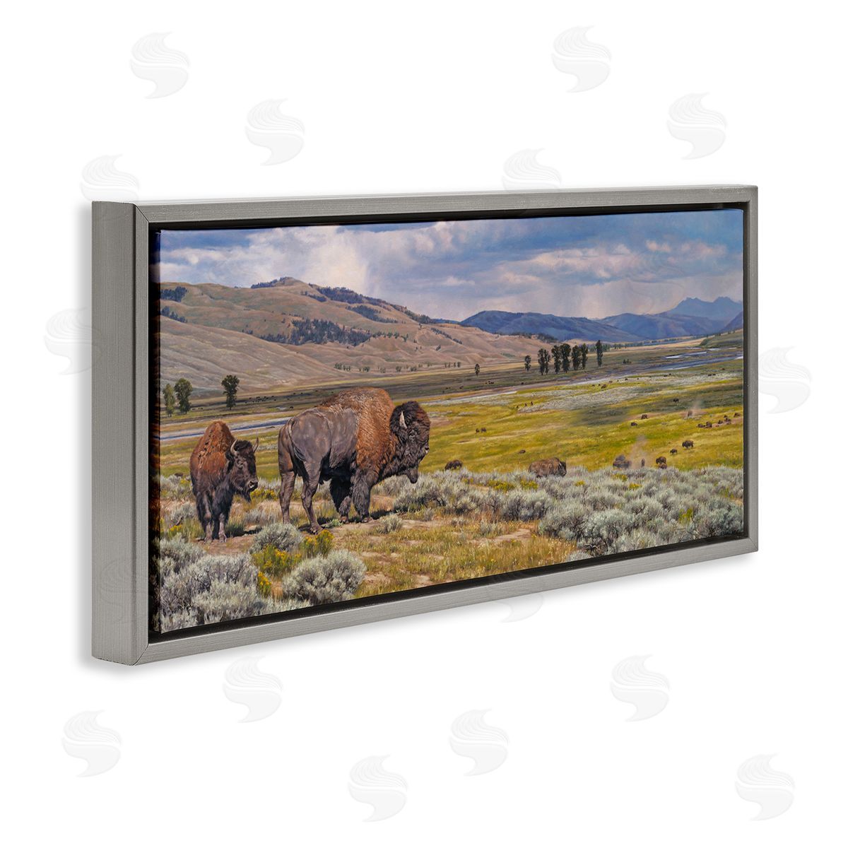 Roaming Southwestern Bison Grey Floating Frame Canvas Wall Art, Home Decor by David Graham