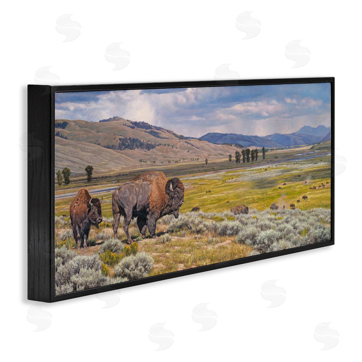 Roaming Southwestern Bison Black Frame Print Wall Art, Home Decor by David Graham