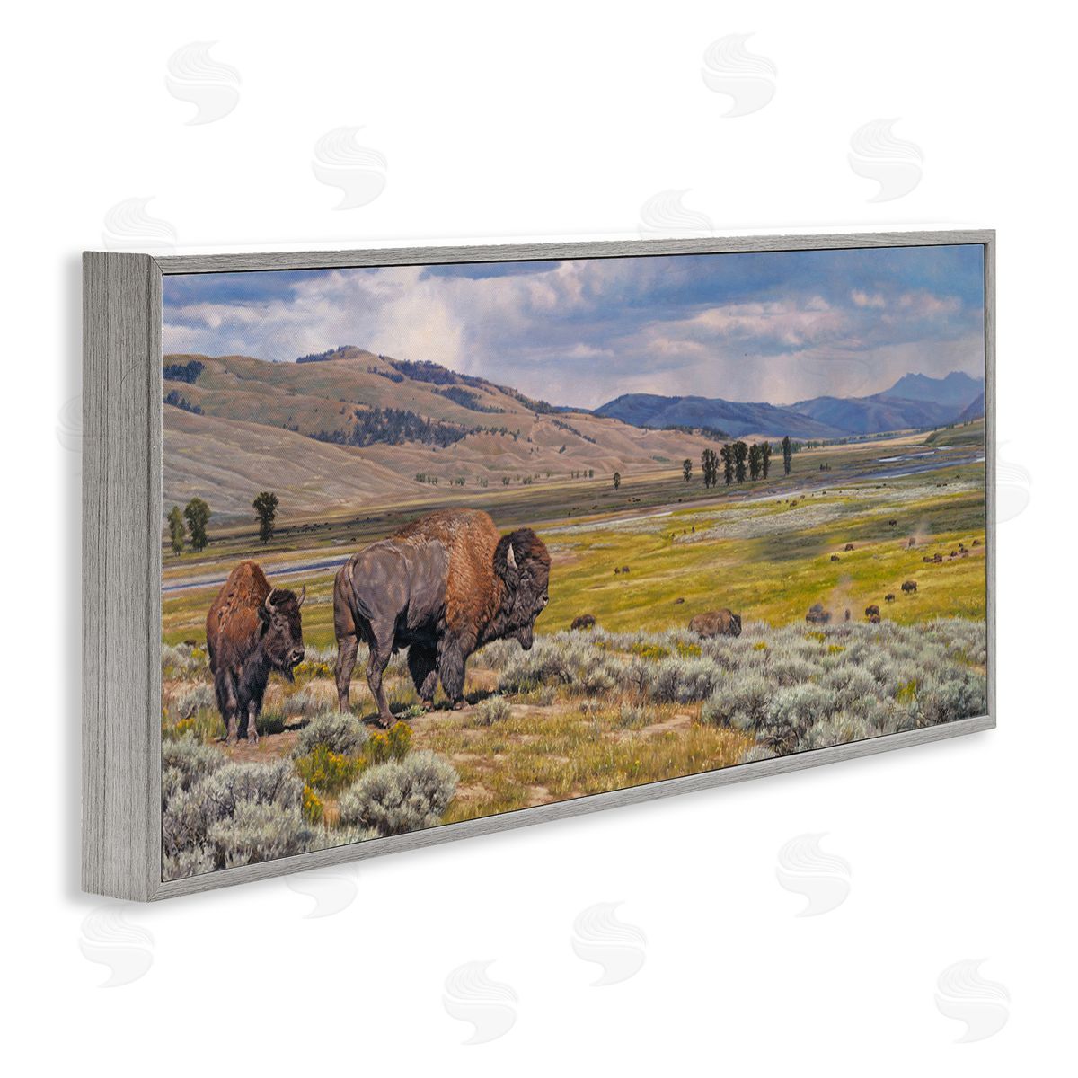 Roaming Southwestern Bison Grey Frame Print Wall Art, Home Decor by David Graham