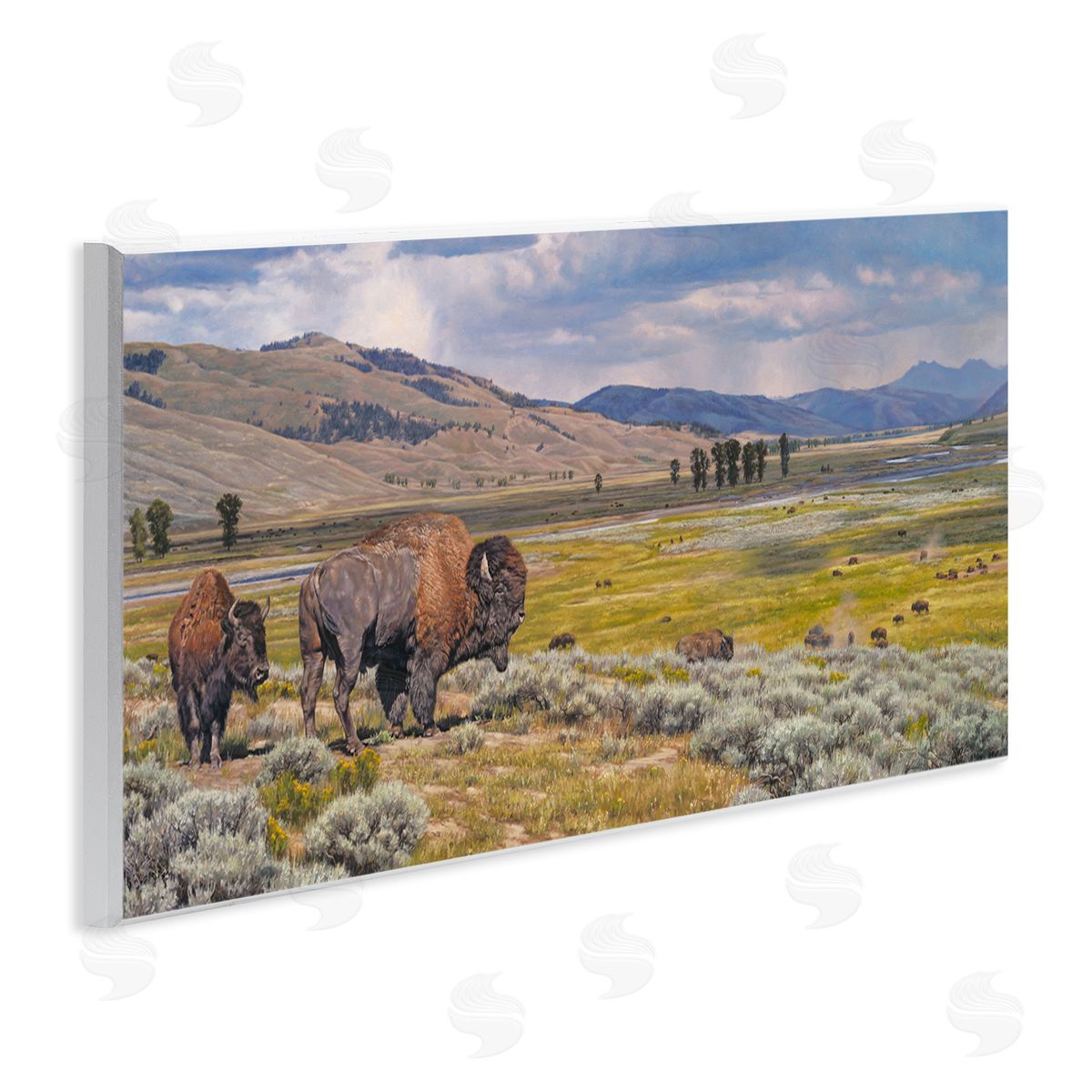 Roaming Southwestern Bison Wood Plaque Wall Art, Home Decor by David Graham
