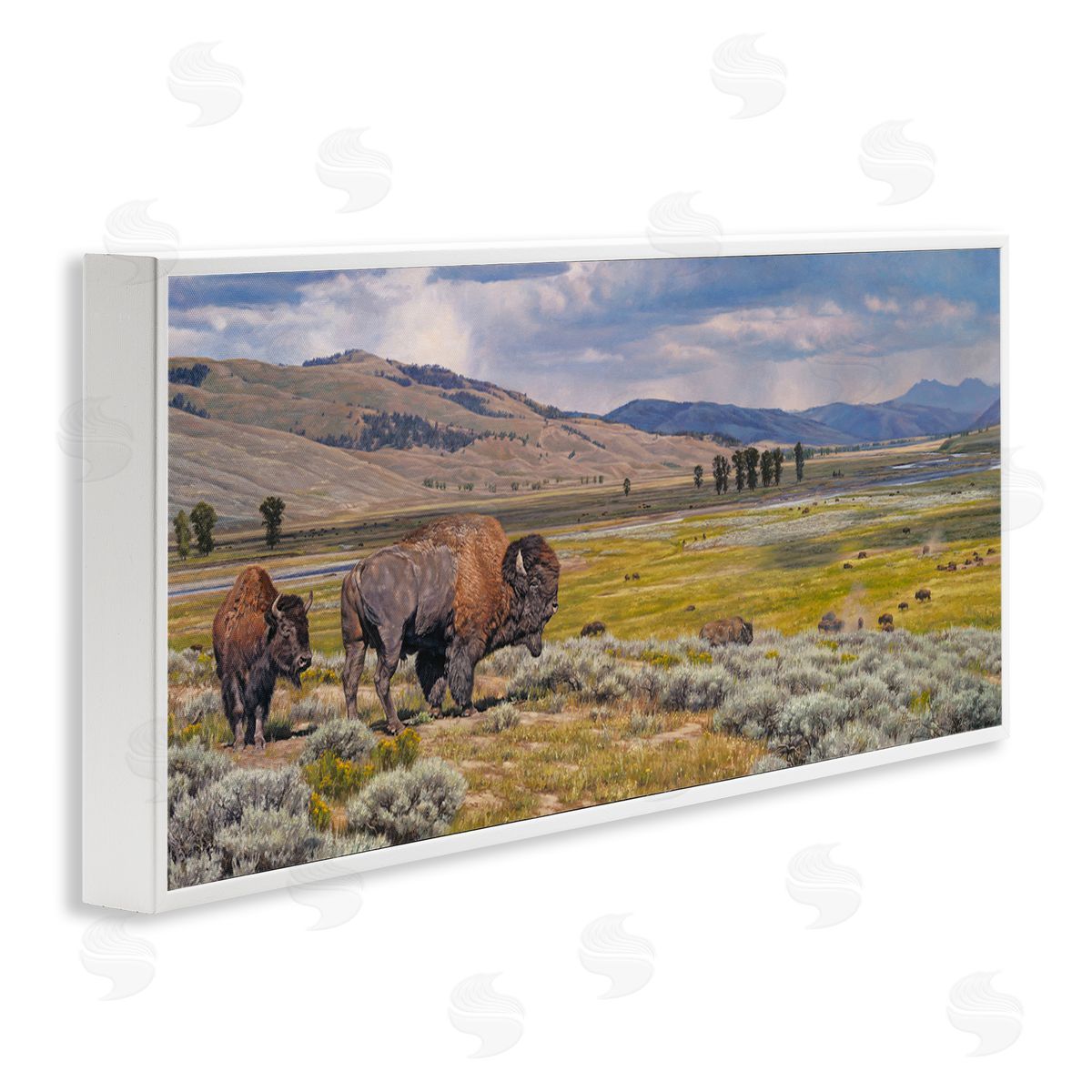 Roaming Southwestern Bison White Frame Print Wall Art, Home Decor by David Graham