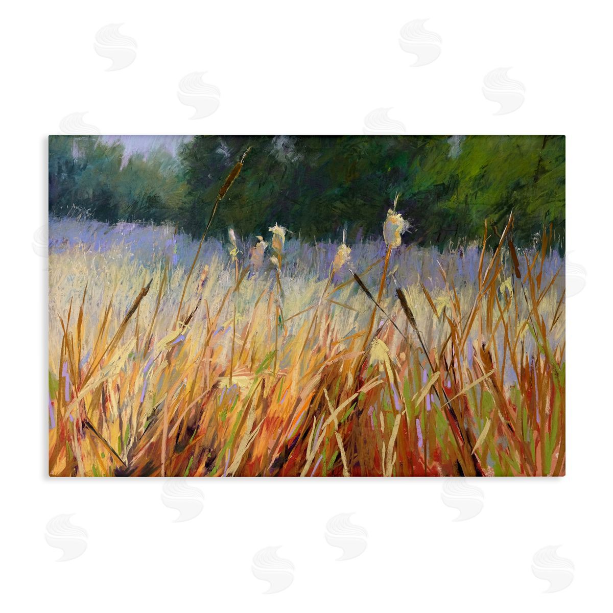 Carol Strock Wasson Country Summer Reeds Canvas Wall Art Print