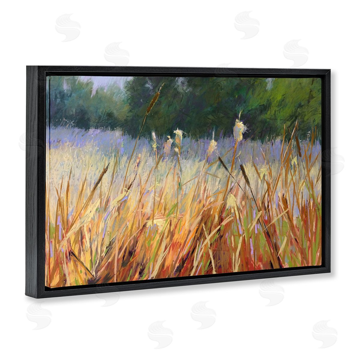 Carol Strock Wasson Country Summer Reeds Black Floating Frame Canvas Wall Art Print