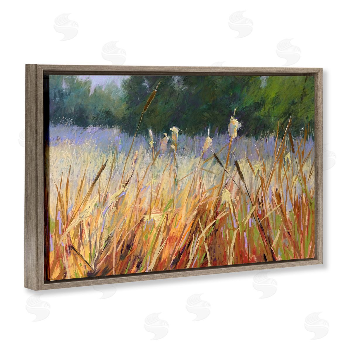 Carol Strock Wasson Country Summer Reeds Brown Floating Frame Canvas Wall Art Print