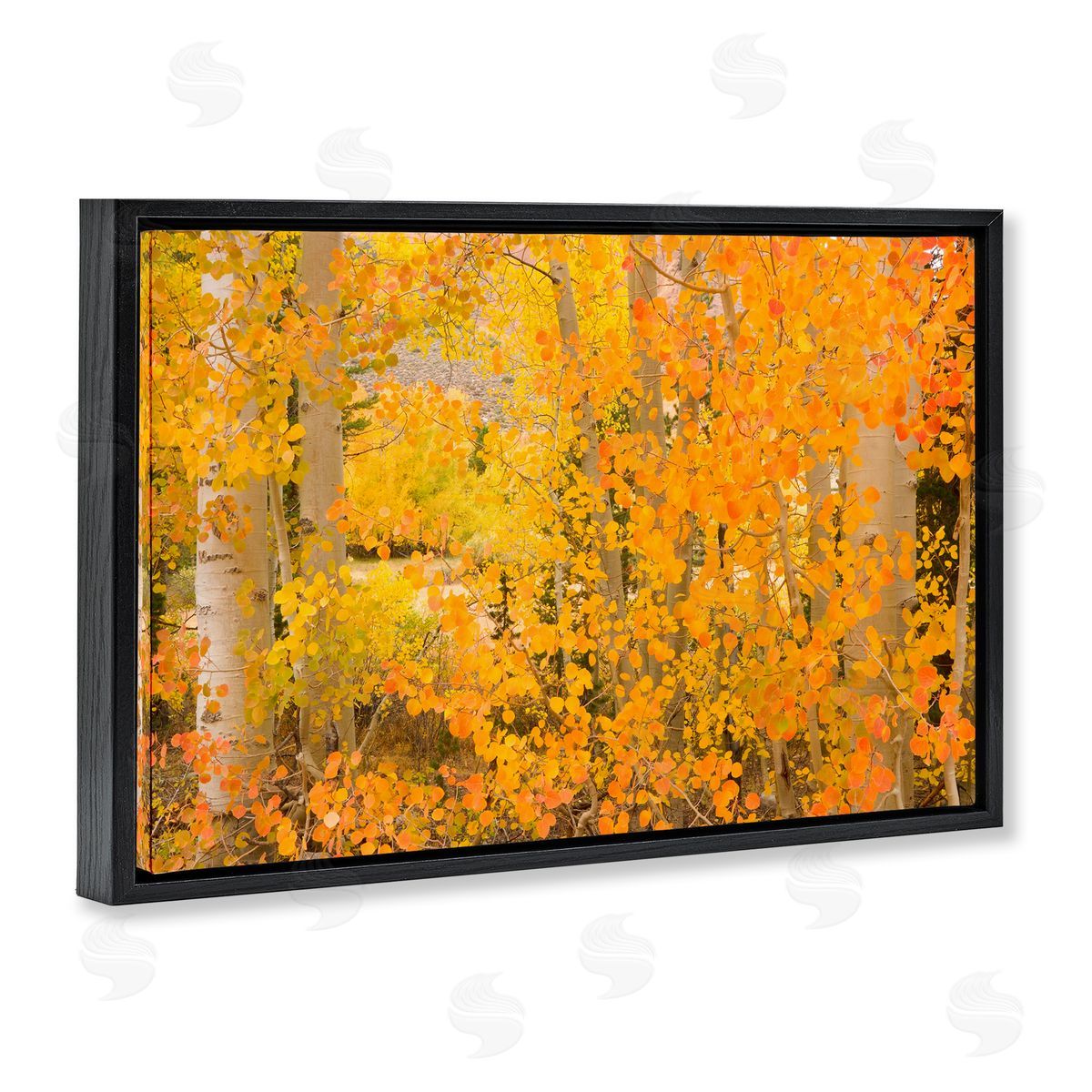 Richard Wong Dense Birch Foliage Black Floating Frame Canvas Wall Art Print