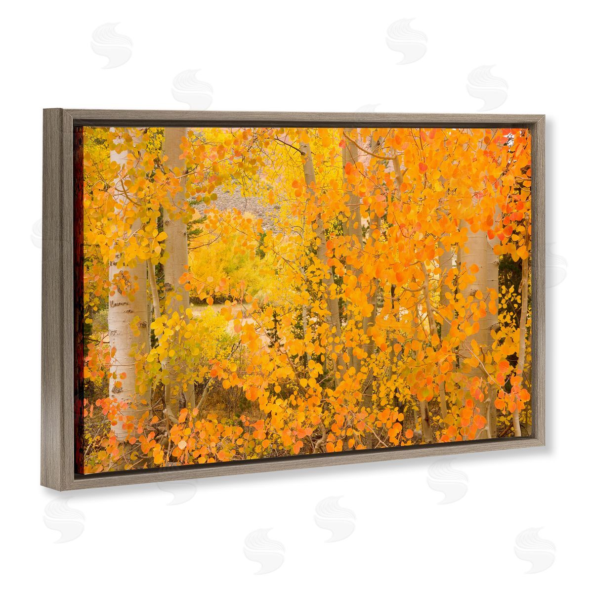 Richard Wong Dense Birch Foliage Brown Floating Frame Canvas Wall Art Print