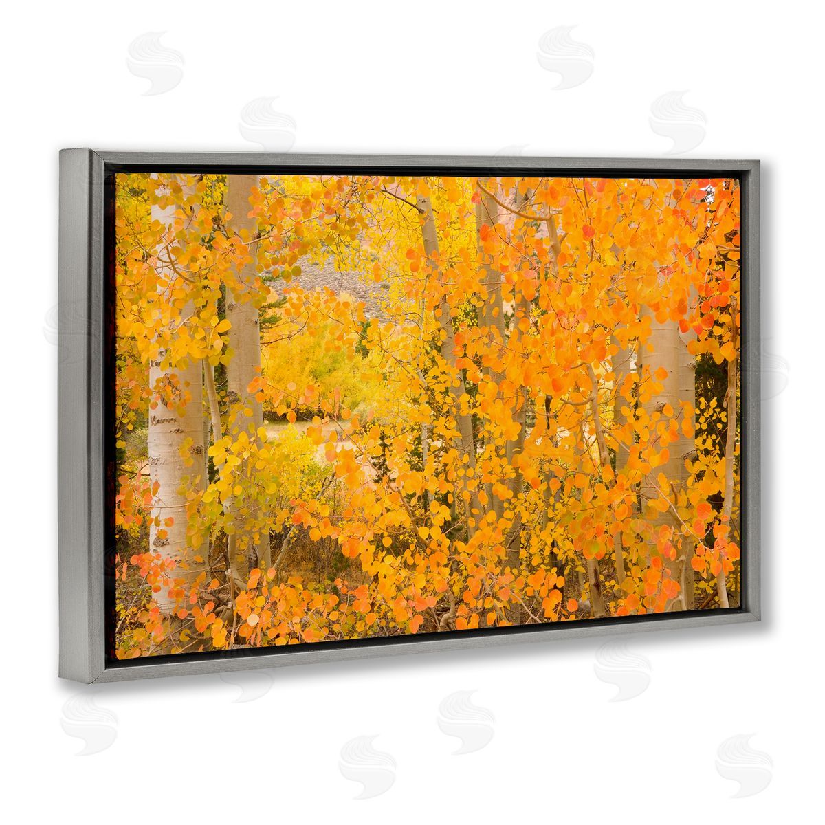 Richard Wong Dense Birch Foliage Gray Floating Frame Canvas Wall Art Print