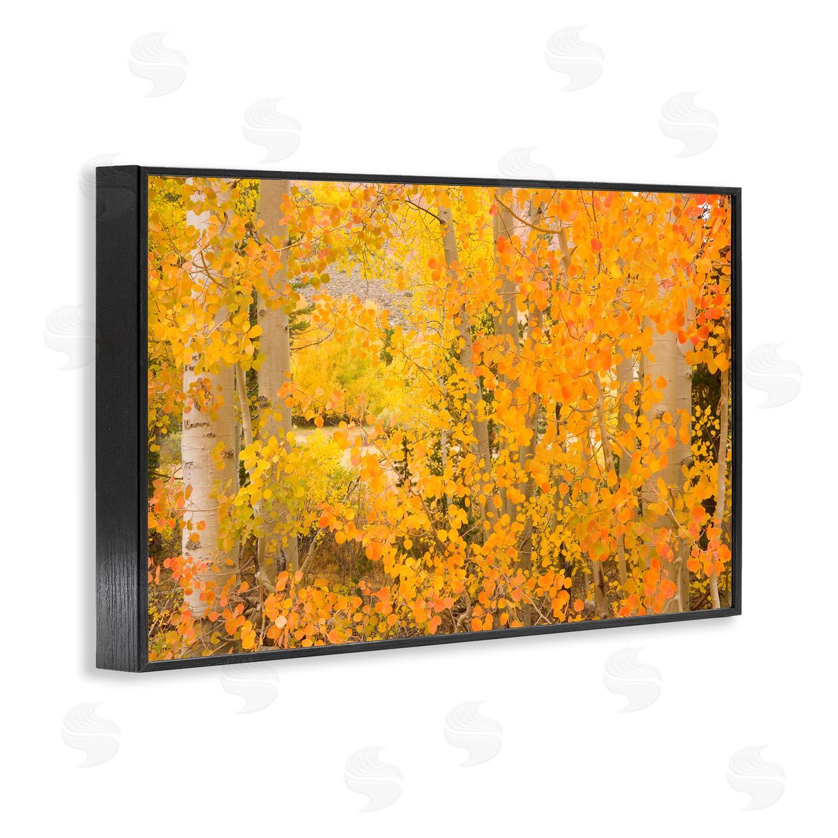 Richard Wong Dense Birch Foliage Black Framed Giclee Wall Art Print