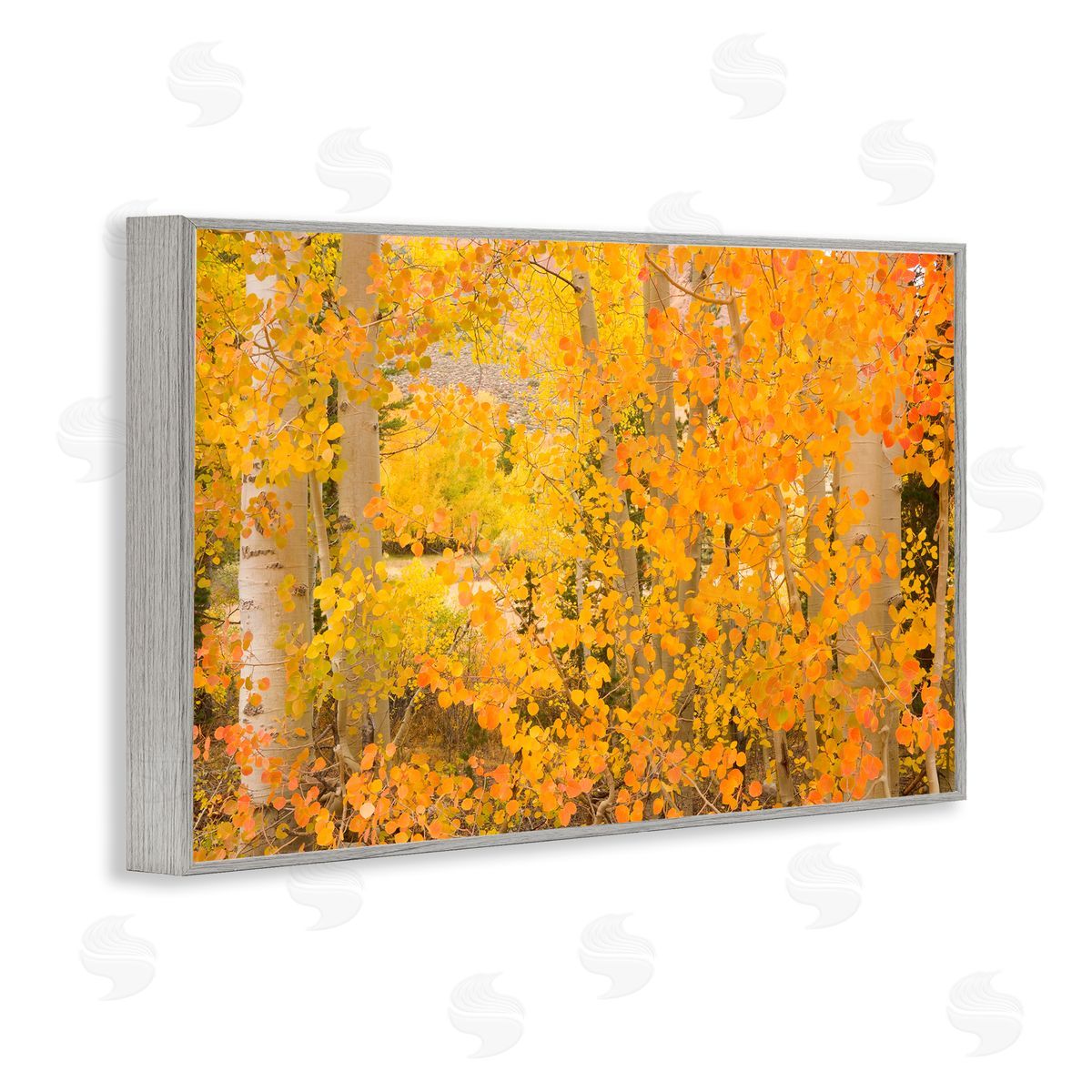 Richard Wong Dense Birch Foliage Gray Framed Giclee Wall Art Print