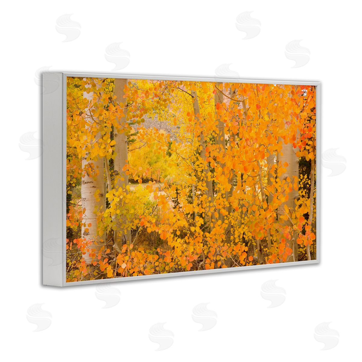 Richard Wong Dense Birch Foliage White Framed Giclee Wall Art Print