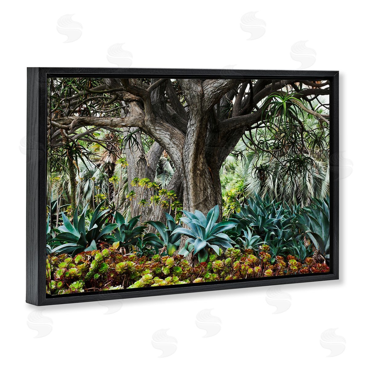 Richard Wong Lush Tropical Vegetation Black Floating Frame Canvas Wall Art Print