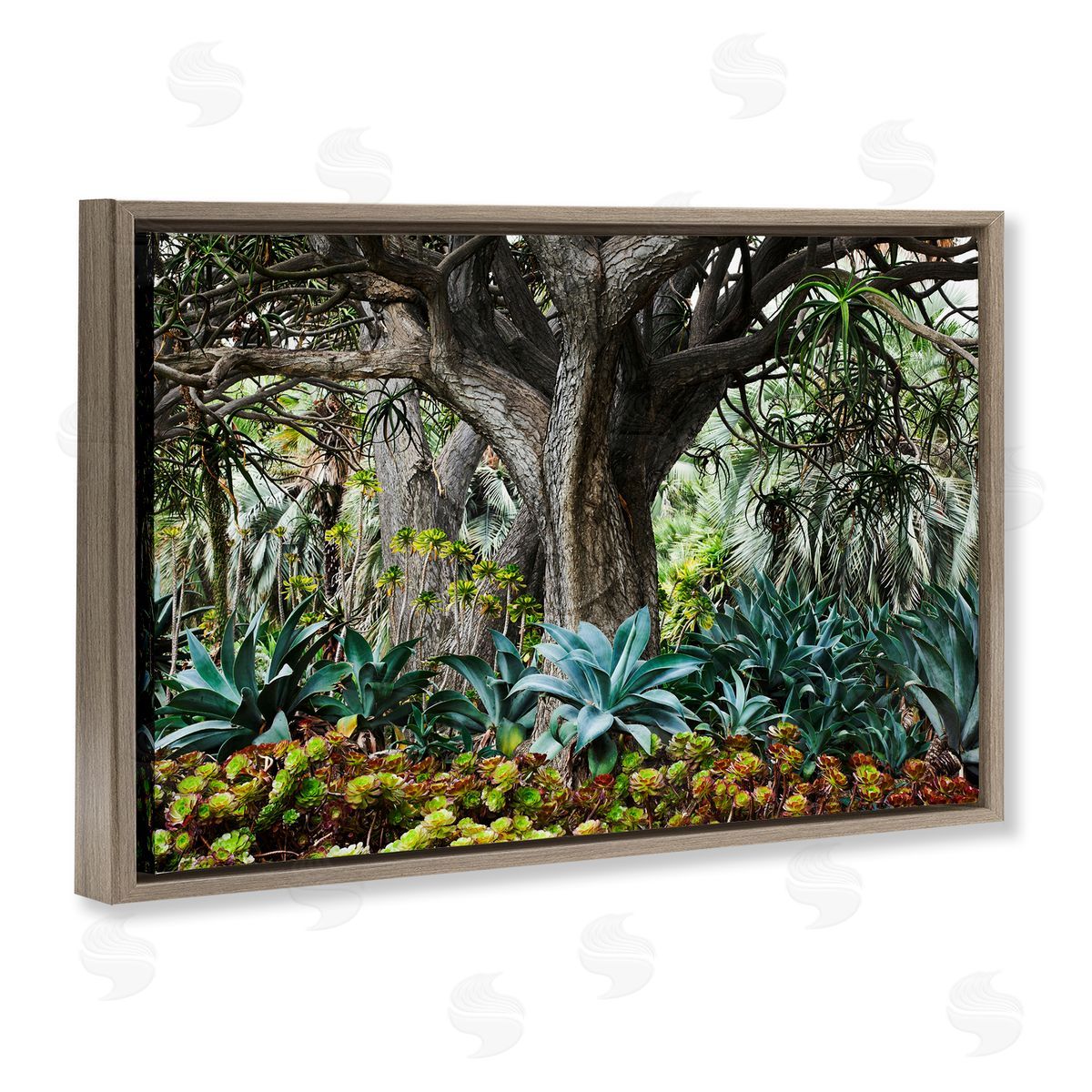 Richard Wong Lush Tropical Vegetation Brown Floating Frame Canvas Wall Art Print