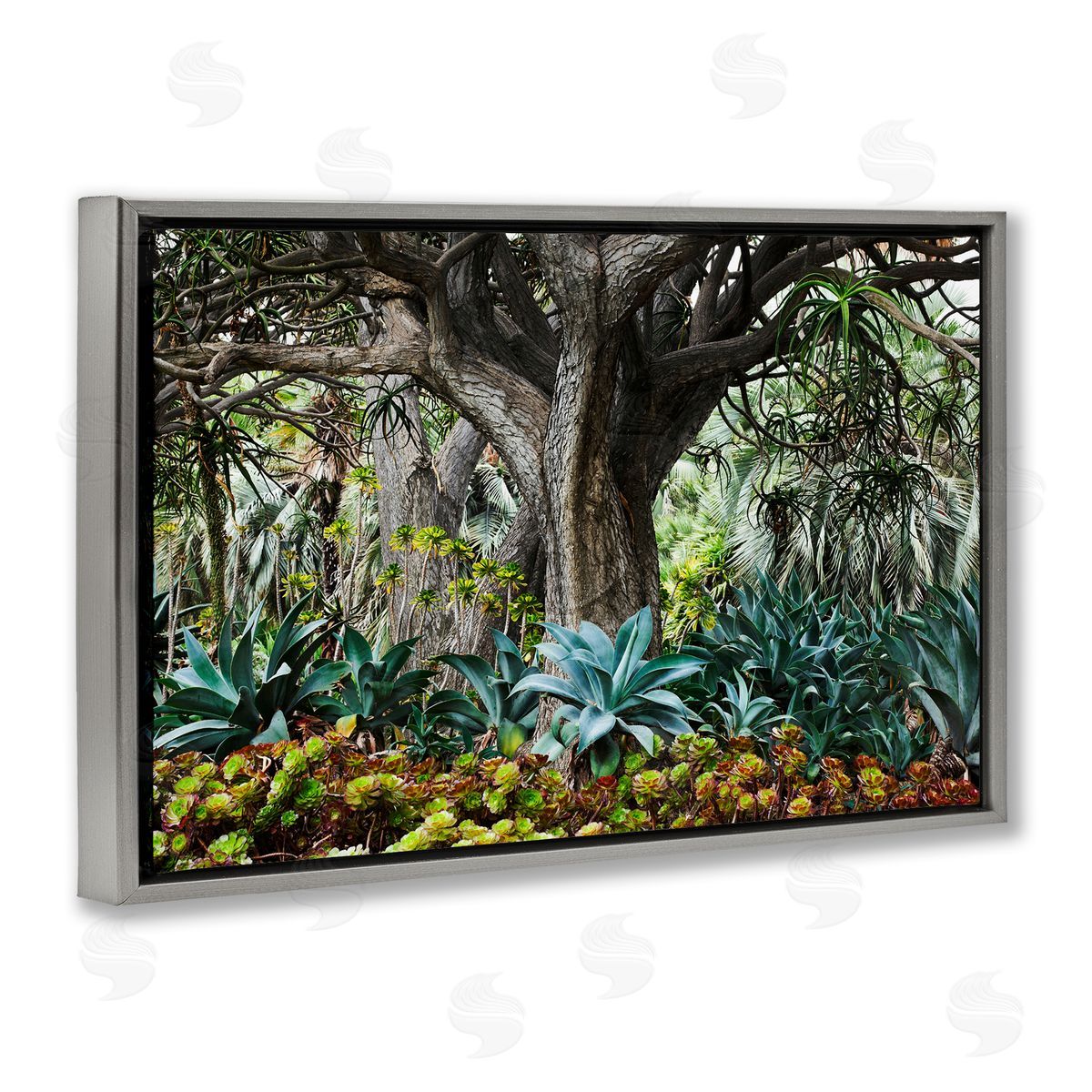 Richard Wong Lush Tropical Vegetation Gray Floating Frame Canvas Wall Art Print