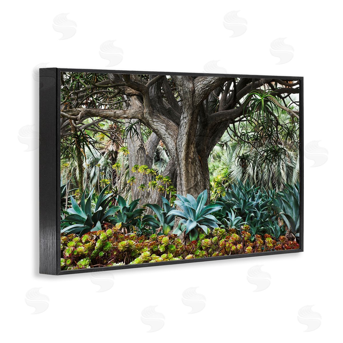 Richard Wong Lush Tropical Vegetation Black Framed Giclee Wall Art Print