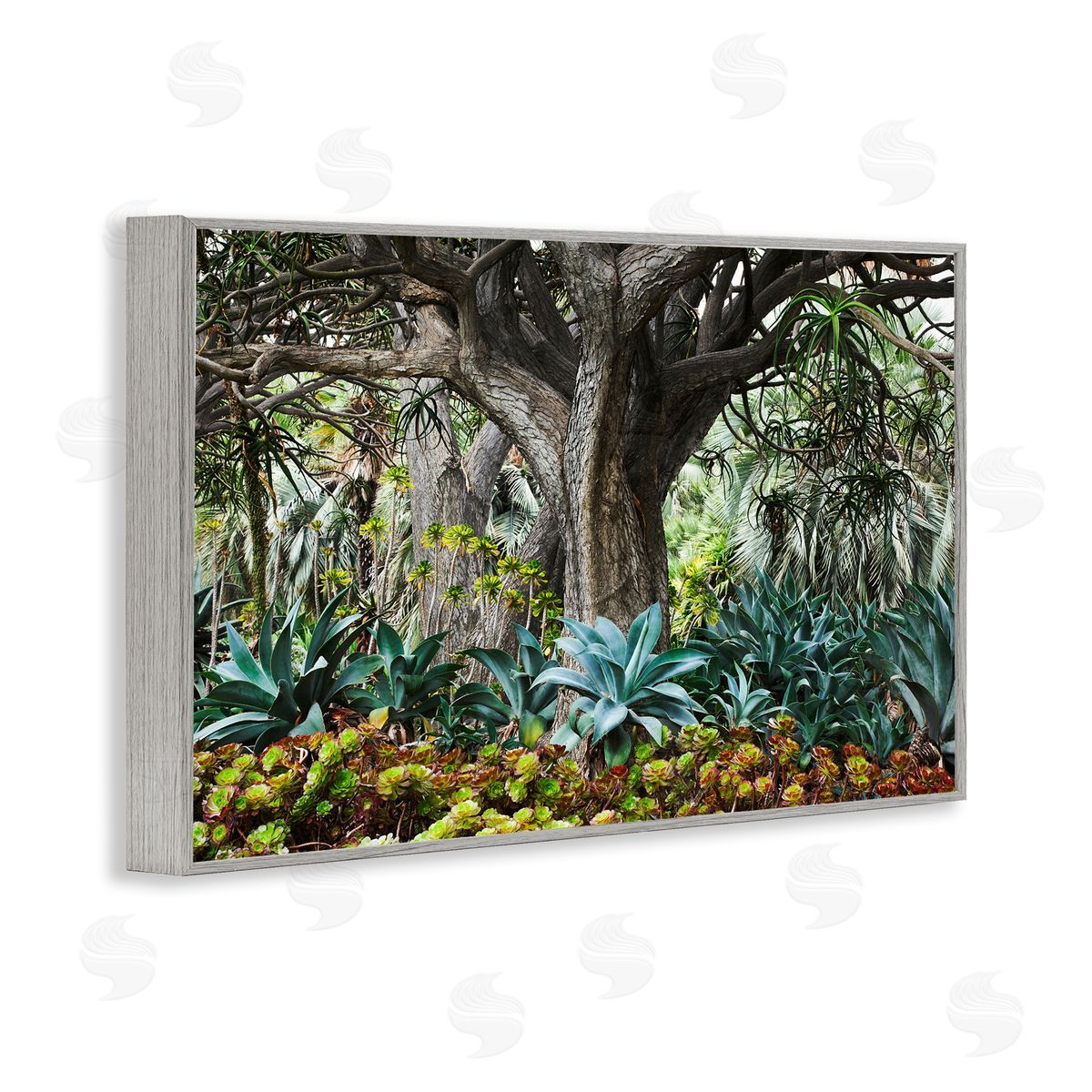 Richard Wong Lush Tropical Vegetation Gray Framed Giclee Wall Art Print