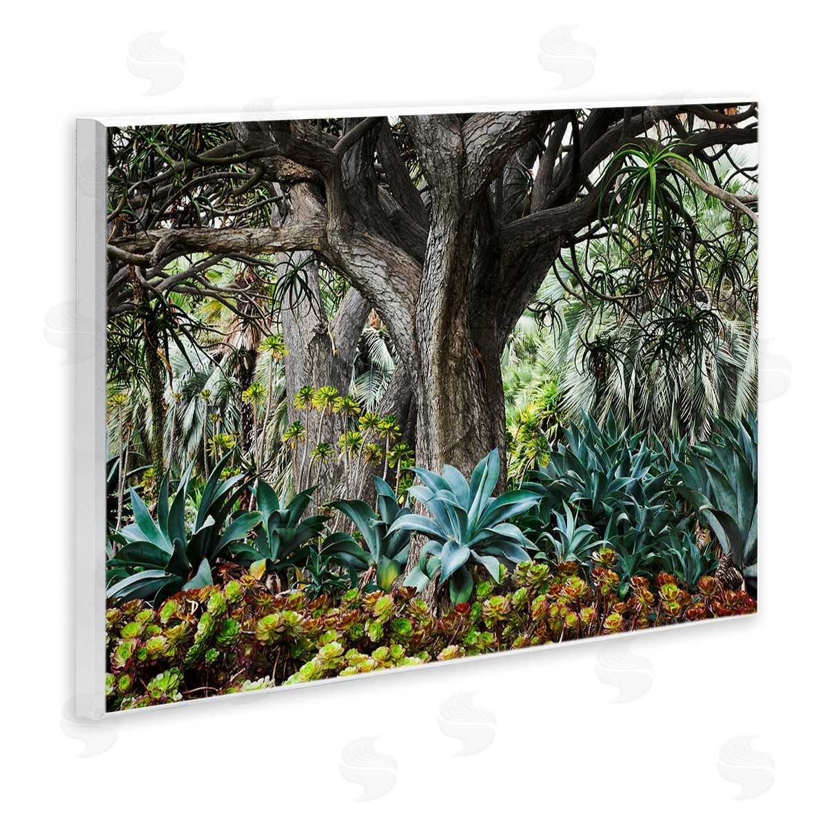 Richard Wong Lush Tropical Vegetation Wooden Wall Plaque Art Print