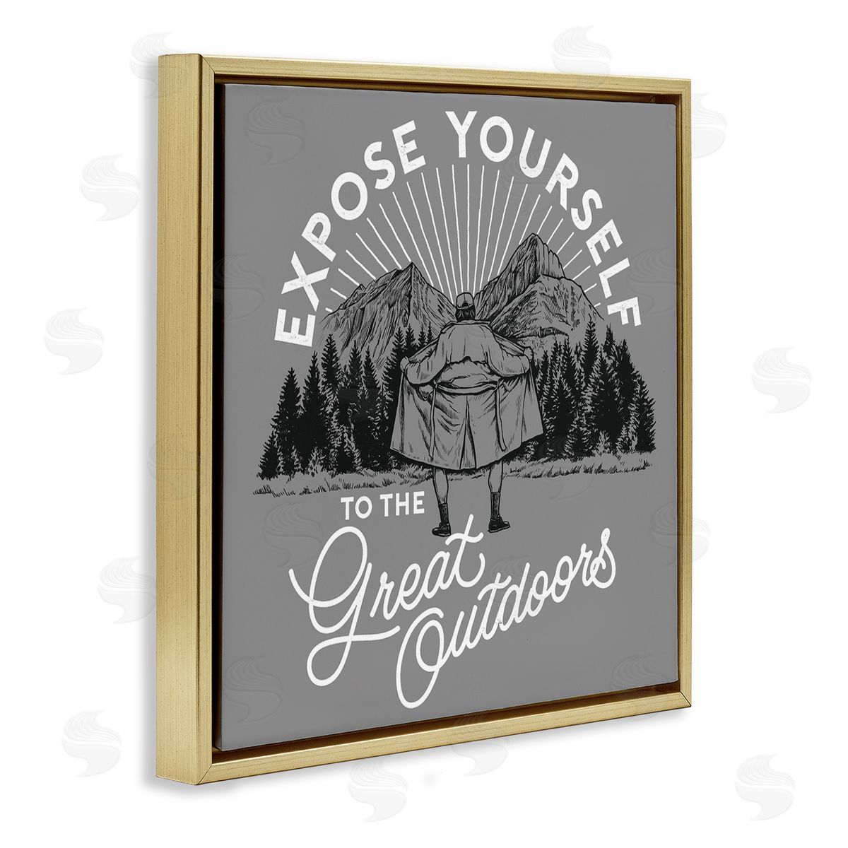 Expose Yourself Funny Gold Floating Frame Canvas Wall Art, Home Decor by Jedco Brands, Inc.