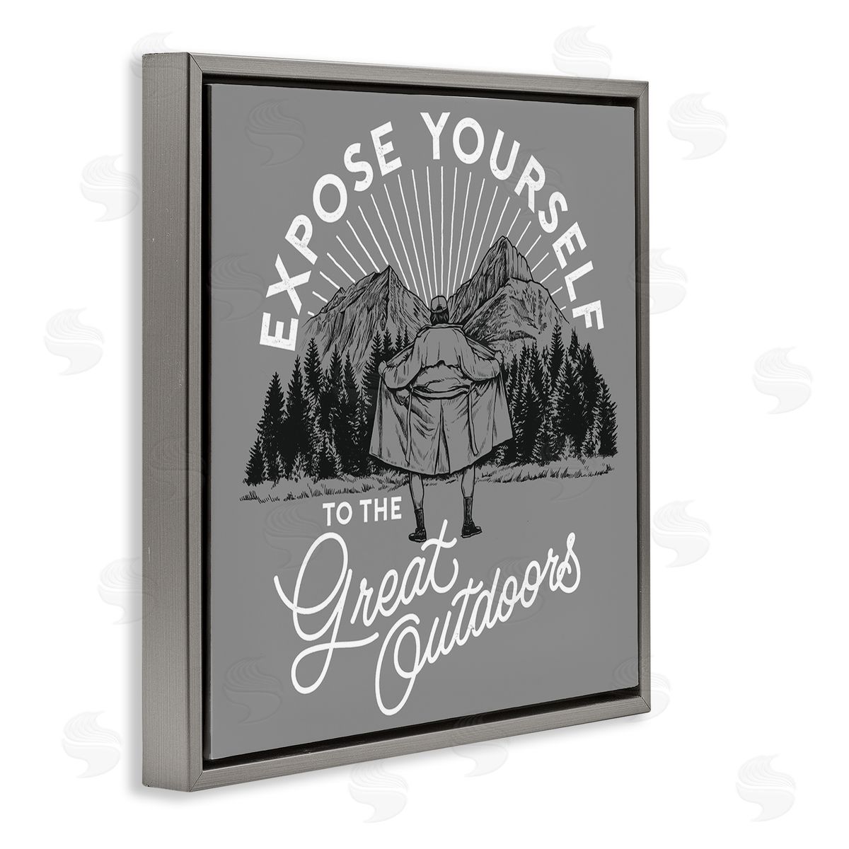 Expose Yourself Funny Grey Floating Frame Canvas Wall Art, Home Decor by Jedco Brands, Inc.