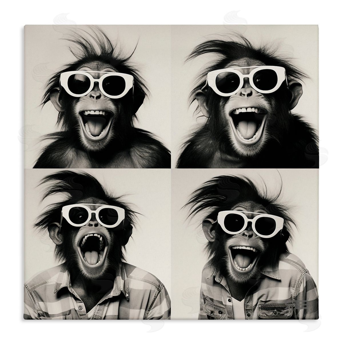 RB Fun Sunglasses Monkey Canvas Wall Art Print
