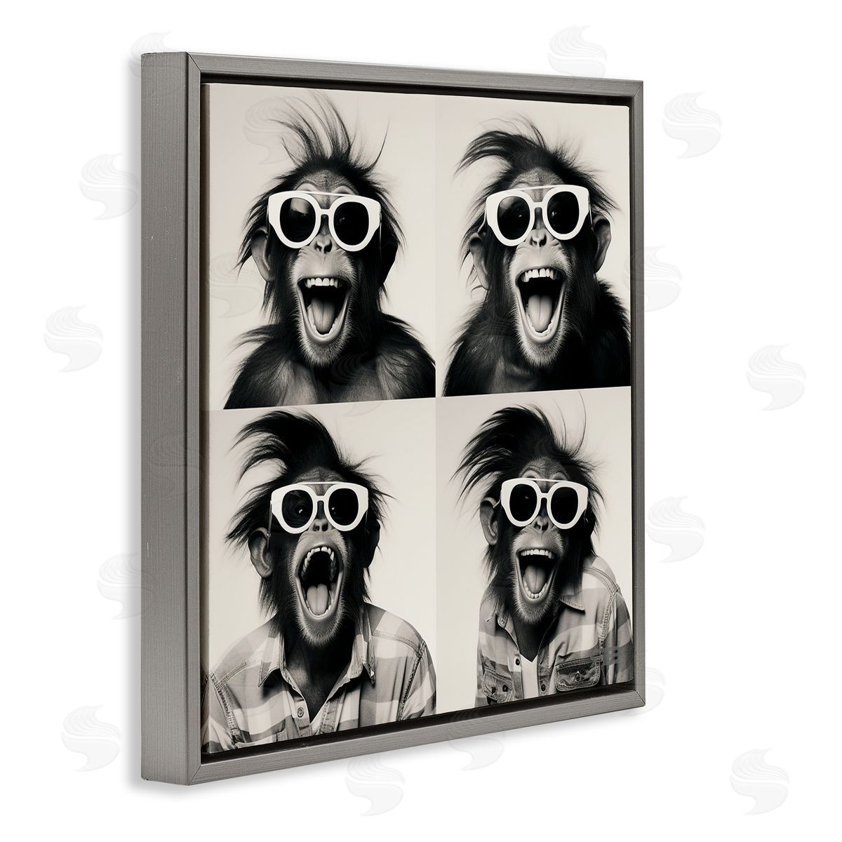 RB Fun Sunglasses Monkey Gray Floating Frame Canvas Wall Art Print