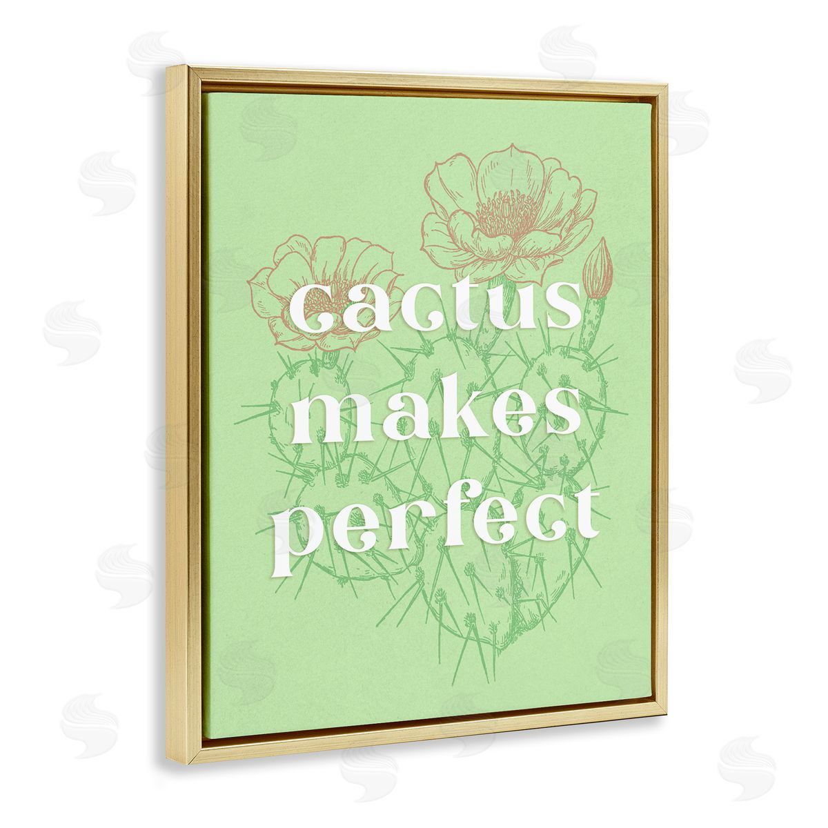 Ziwei Li Cactus Makes Perfect Gold Floating Frame Canvas Wall Art Print