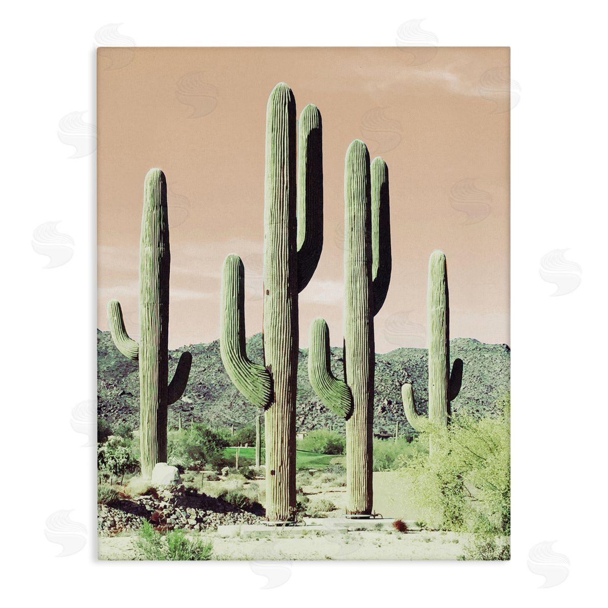 Susan Bryant Sunrise Cactus Scene Canvas Wall Art Print