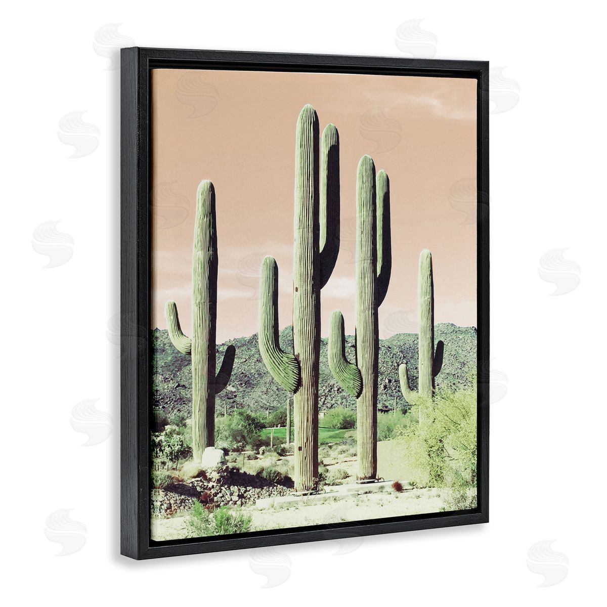 Susan Bryant Sunrise Cactus Scene Black Floating Frame Canvas Wall Art Print