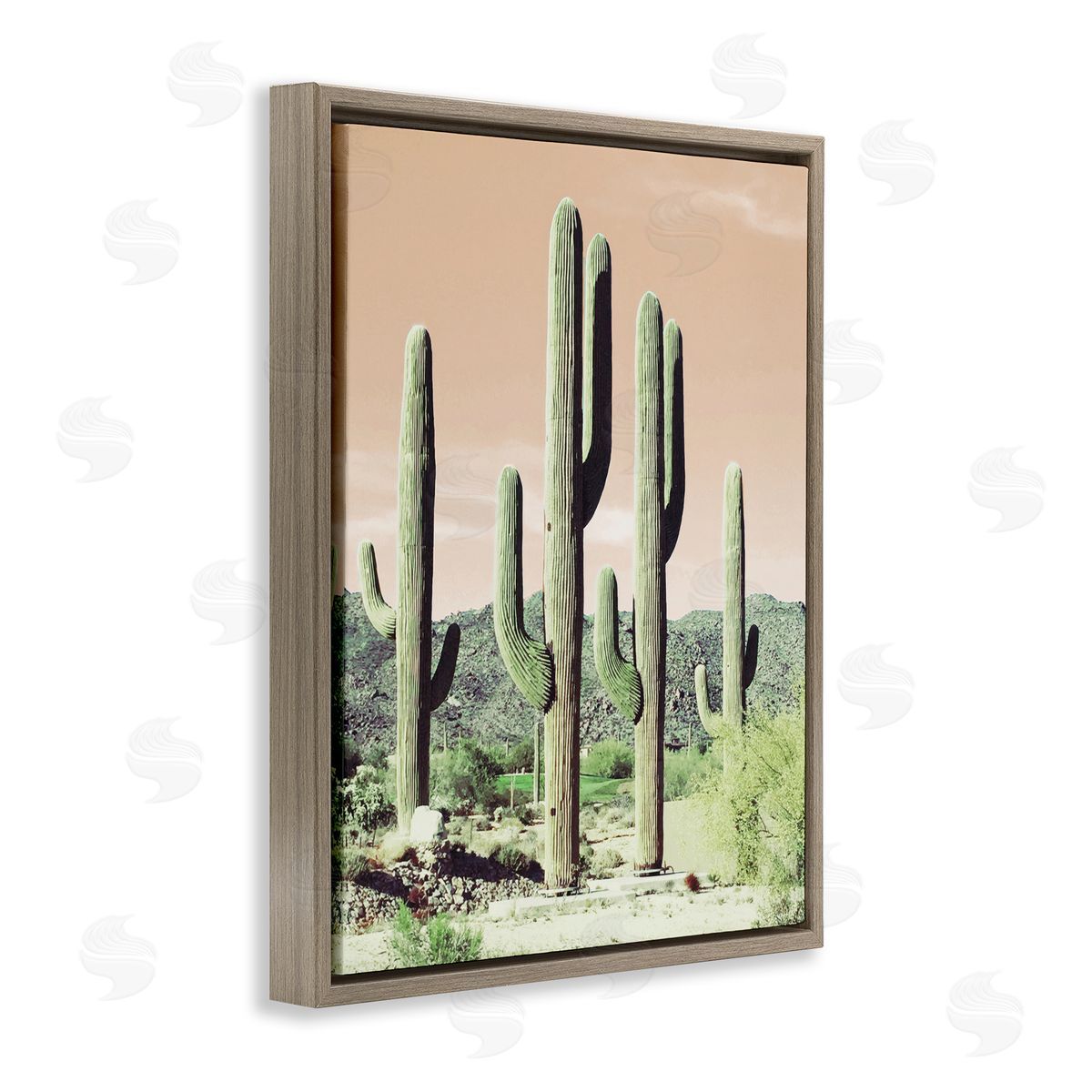 Susan Bryant Sunrise Cactus Scene Brown Floating Frame Canvas Wall Art Print