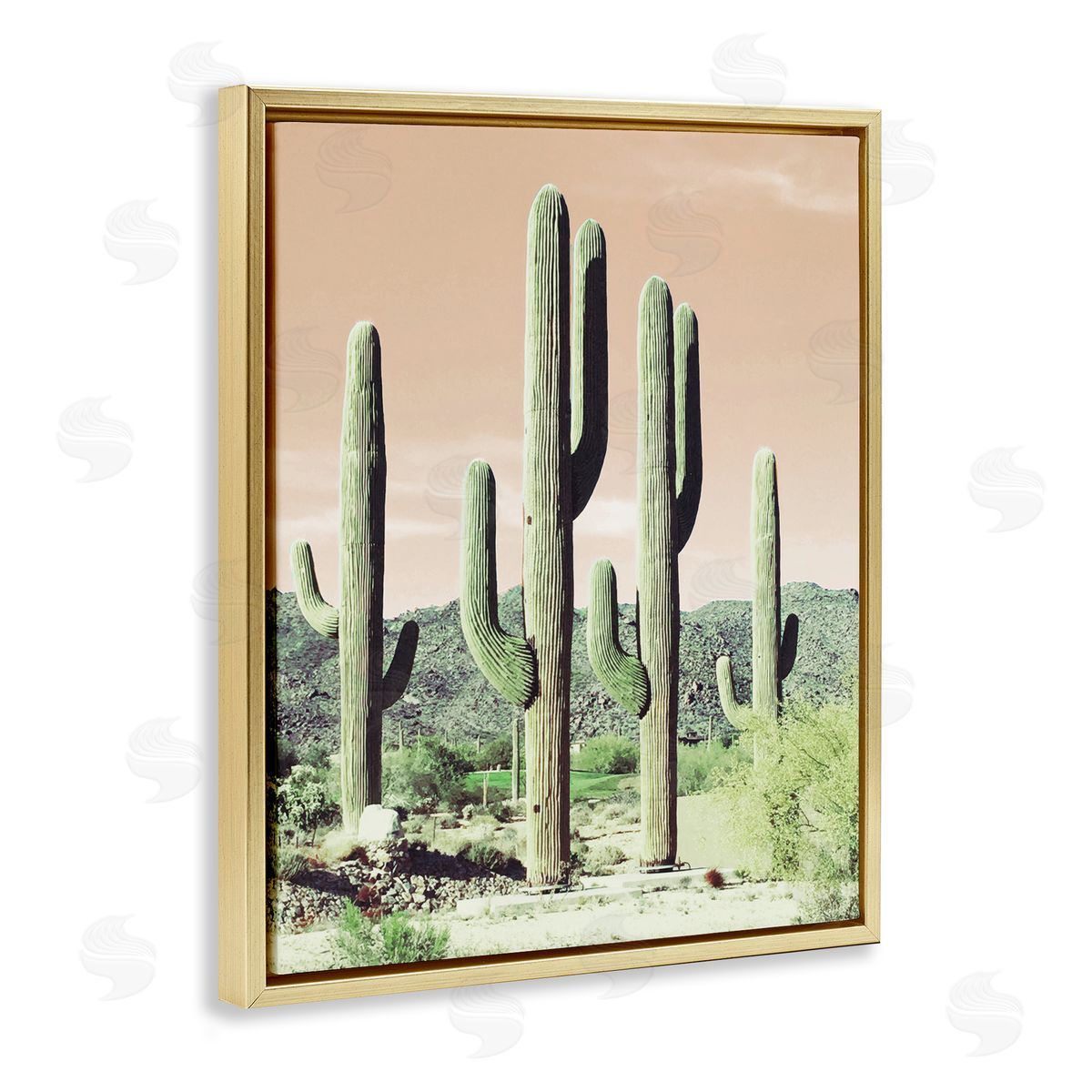 Susan Bryant Sunrise Cactus Scene Gold Floating Frame Canvas Wall Art Print