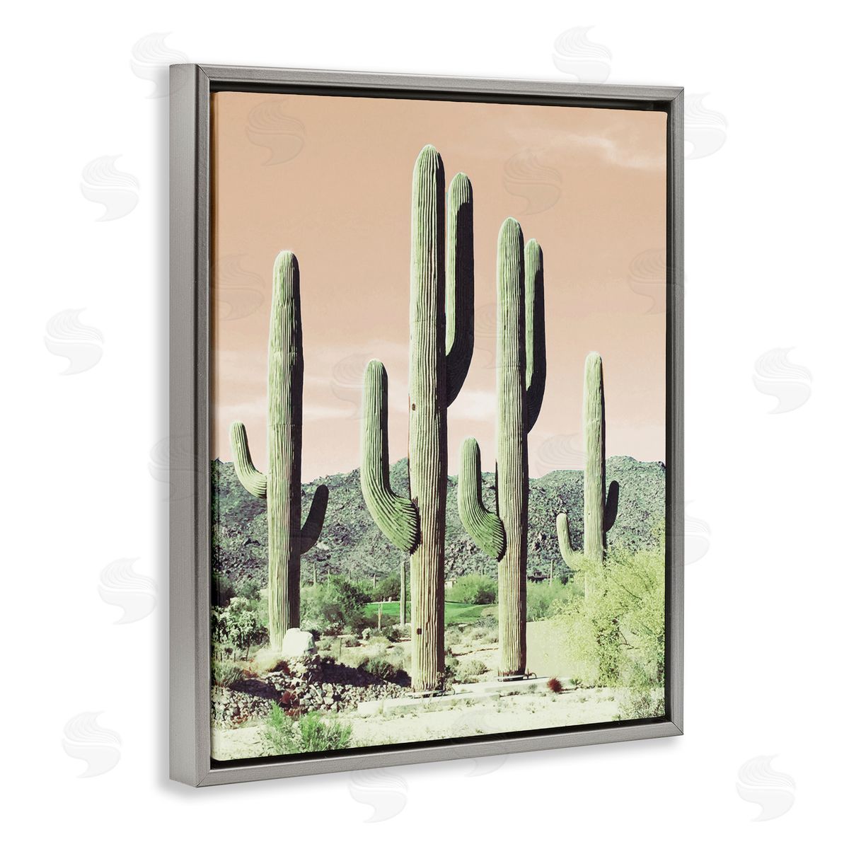 Susan Bryant Sunrise Cactus Scene Gray Floating Frame Canvas Wall Art Print