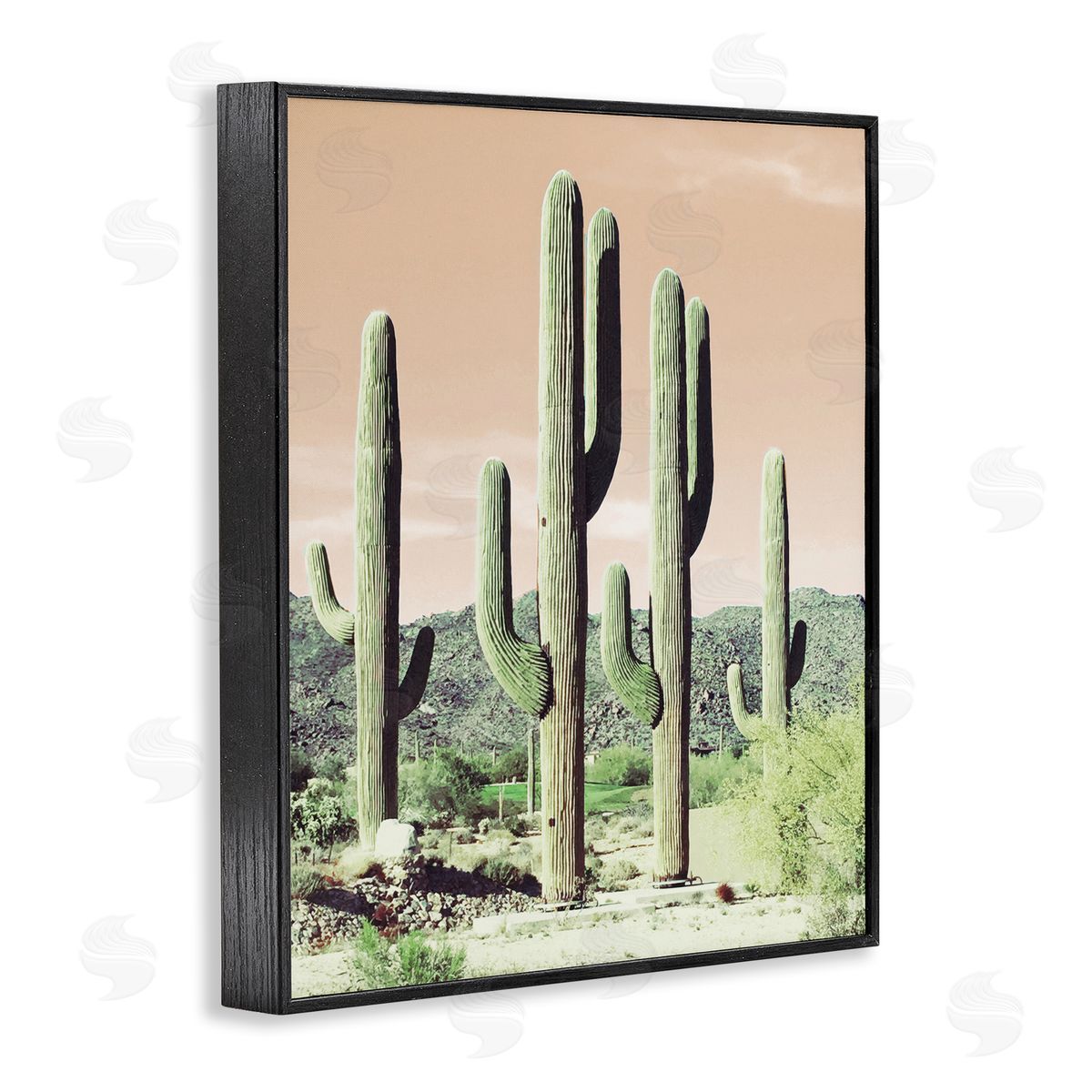 Susan Bryant Sunrise Cactus Scene Black Framed Giclee Wall Art Print