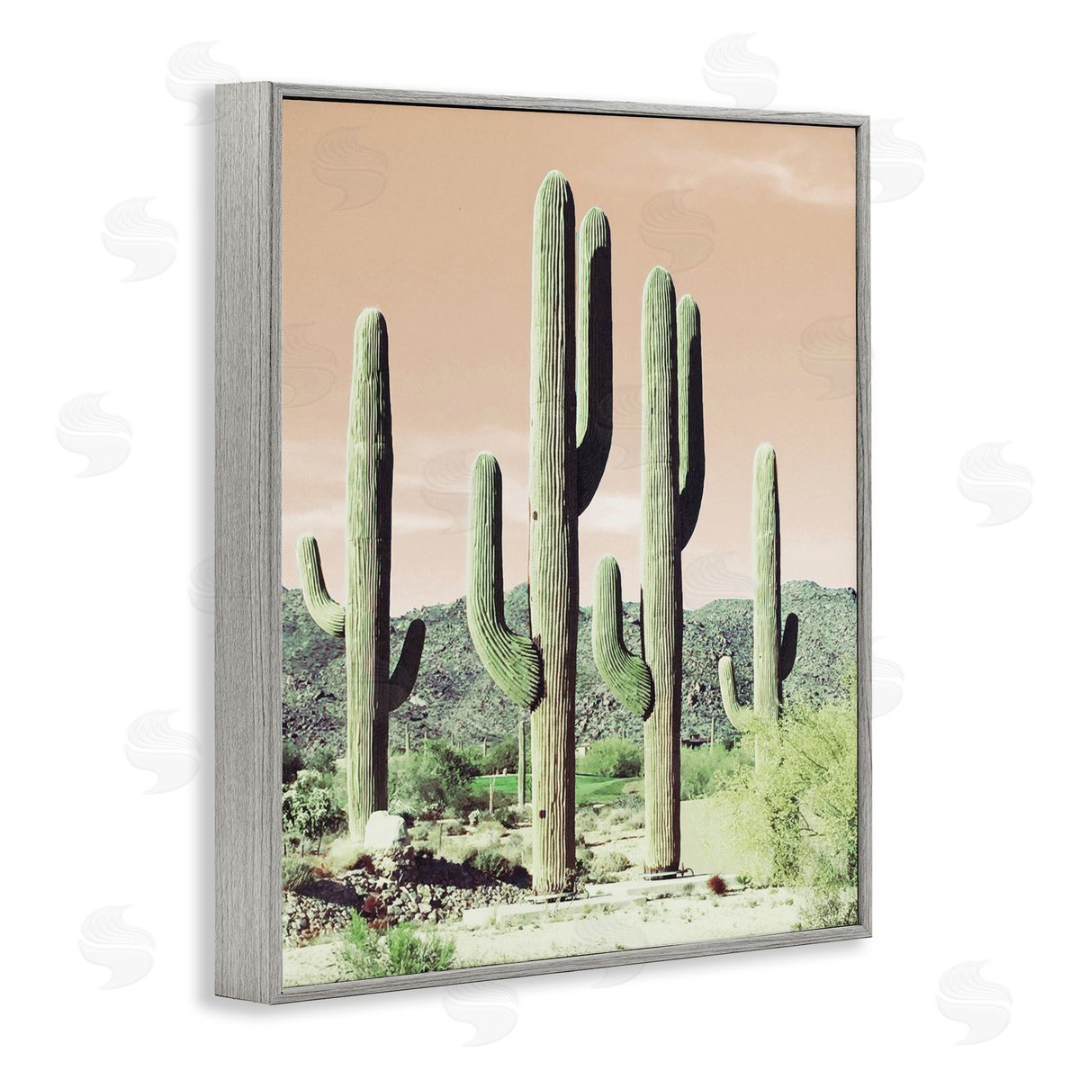 Susan Bryant Sunrise Cactus Scene Gray Framed Giclee Wall Art Print