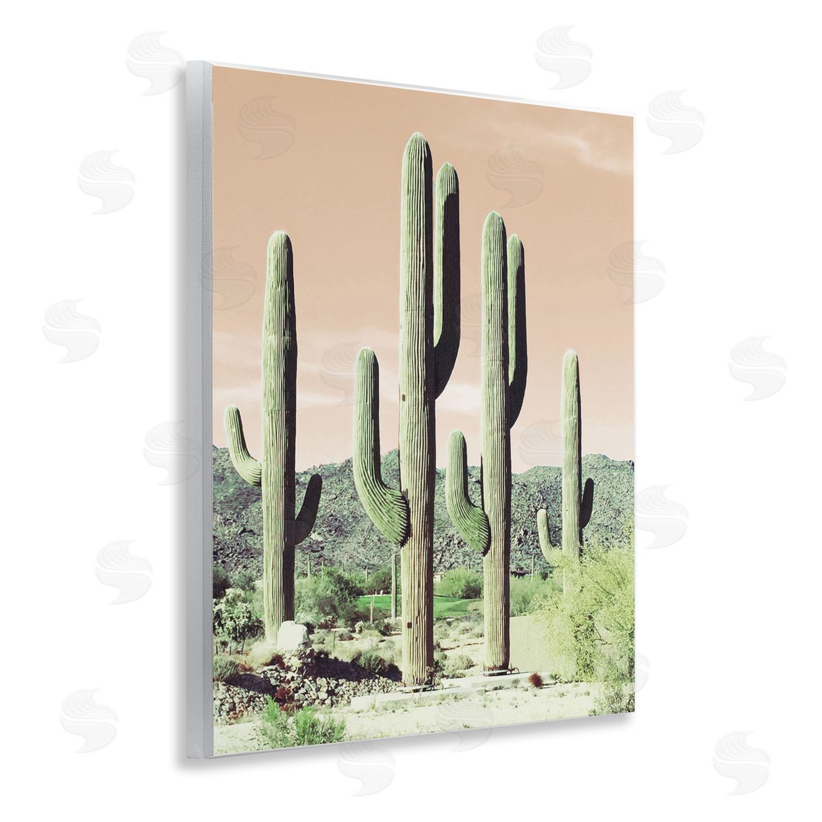 Susan Bryant Sunrise Cactus Scene Wooden Wall Plaque Art Print