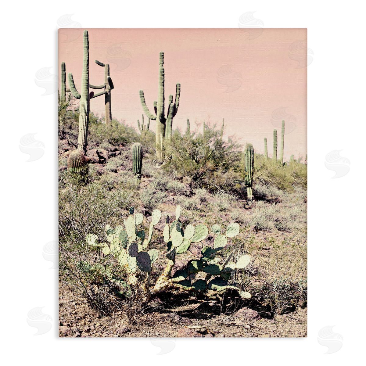 Susan Bryant Rustic Desert Scene Canvas Wall Art Print