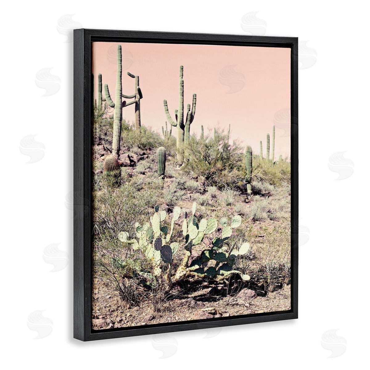 Susan Bryant Rustic Desert Scene Black Floating Frame Canvas Wall Art Print