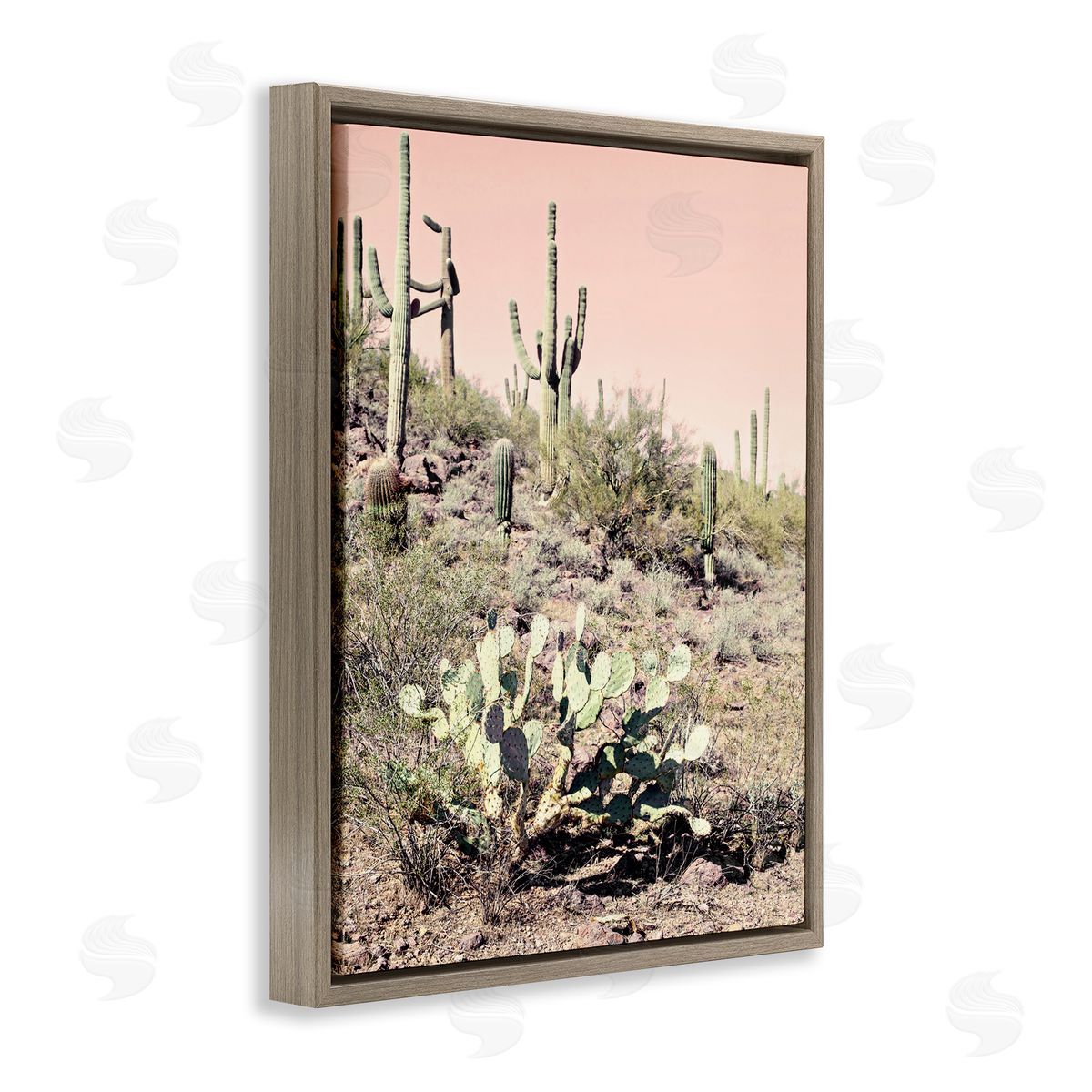Susan Bryant Rustic Desert Scene Brown Floating Frame Canvas Wall Art Print
