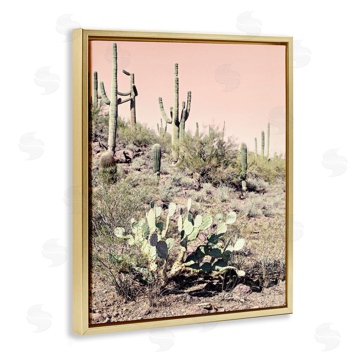 Susan Bryant Rustic Desert Scene Gold Floating Frame Canvas Wall Art Print