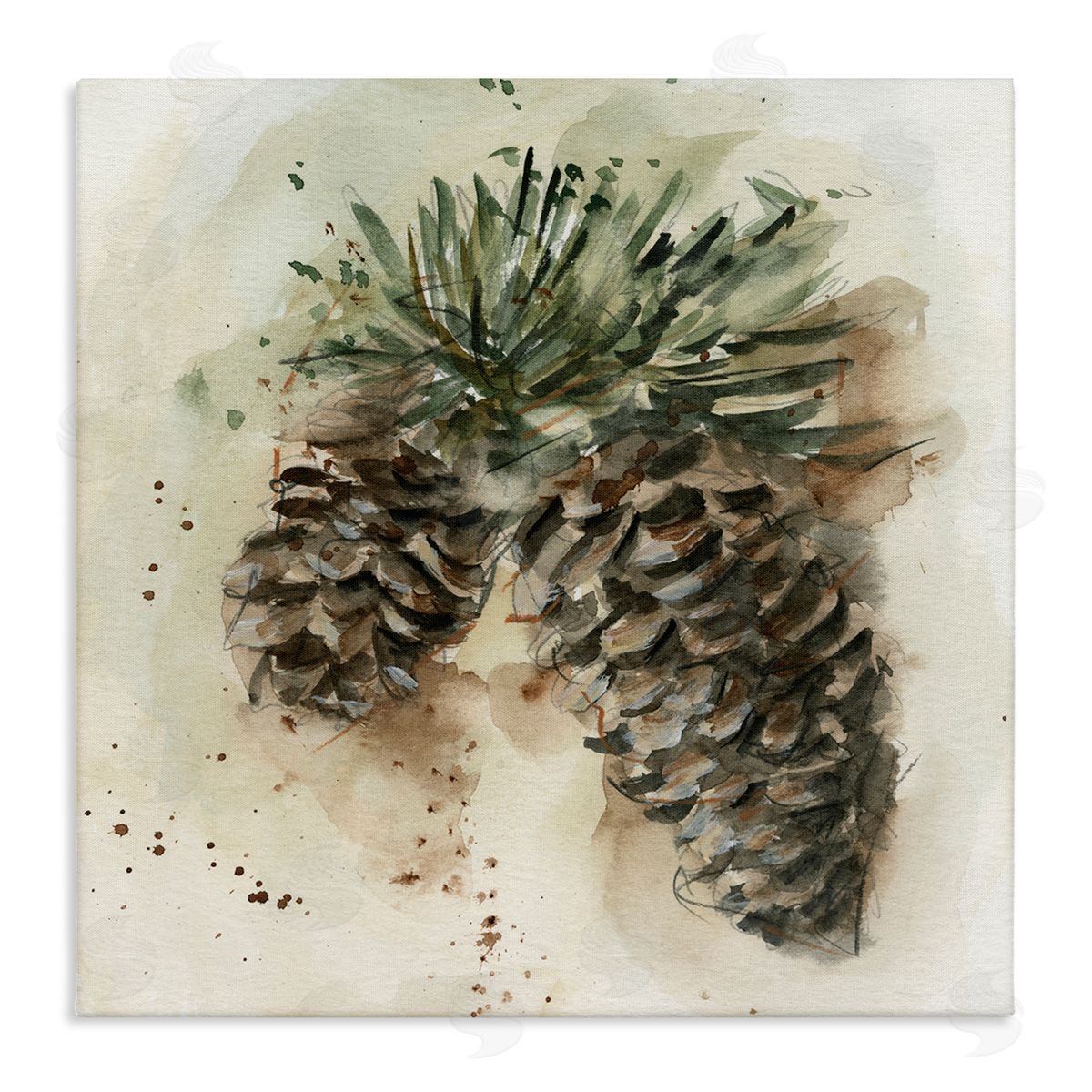 Ethan Harper Pine Cone Watercolor Canvas Wall Art Print