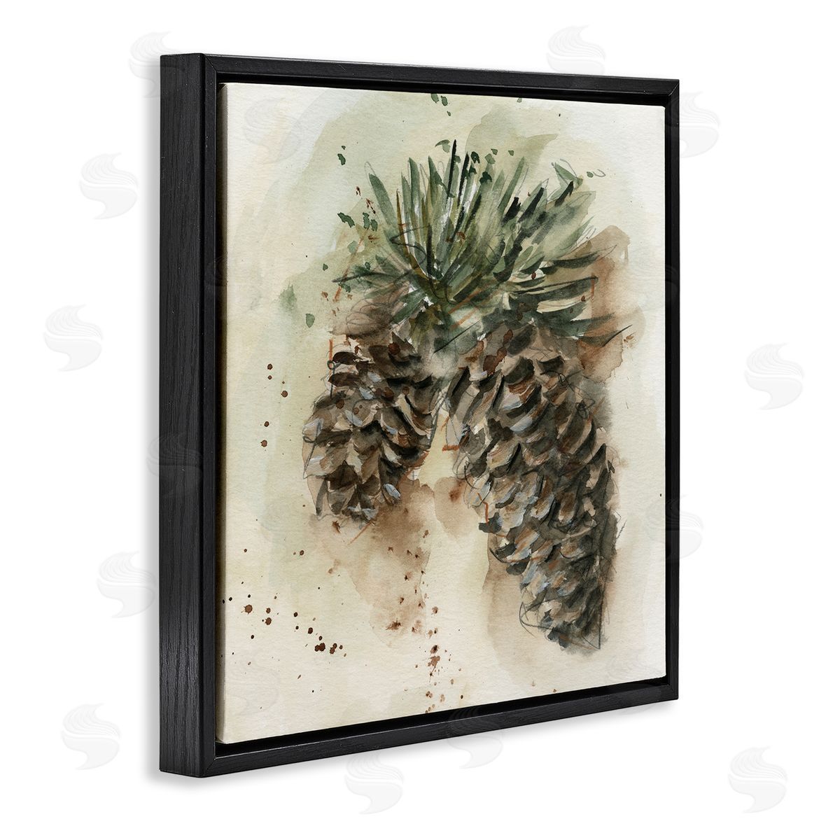 Ethan Harper Pine Cone Watercolor Black Floating Frame Canvas Wall Art Print