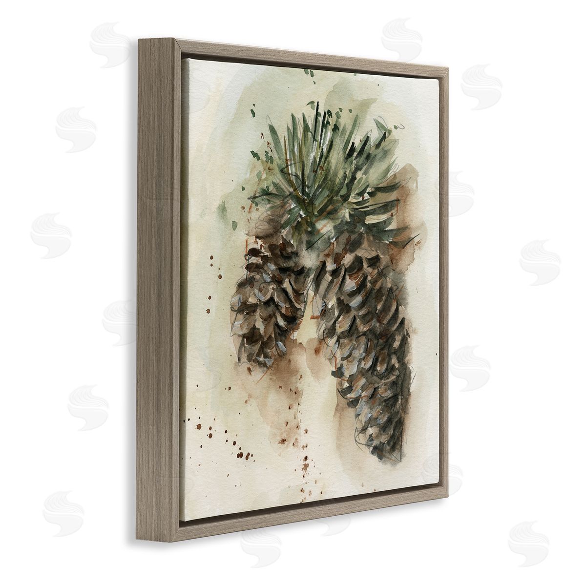 Ethan Harper Pine Cone Watercolor Brown Floating Frame Canvas Wall Art Print