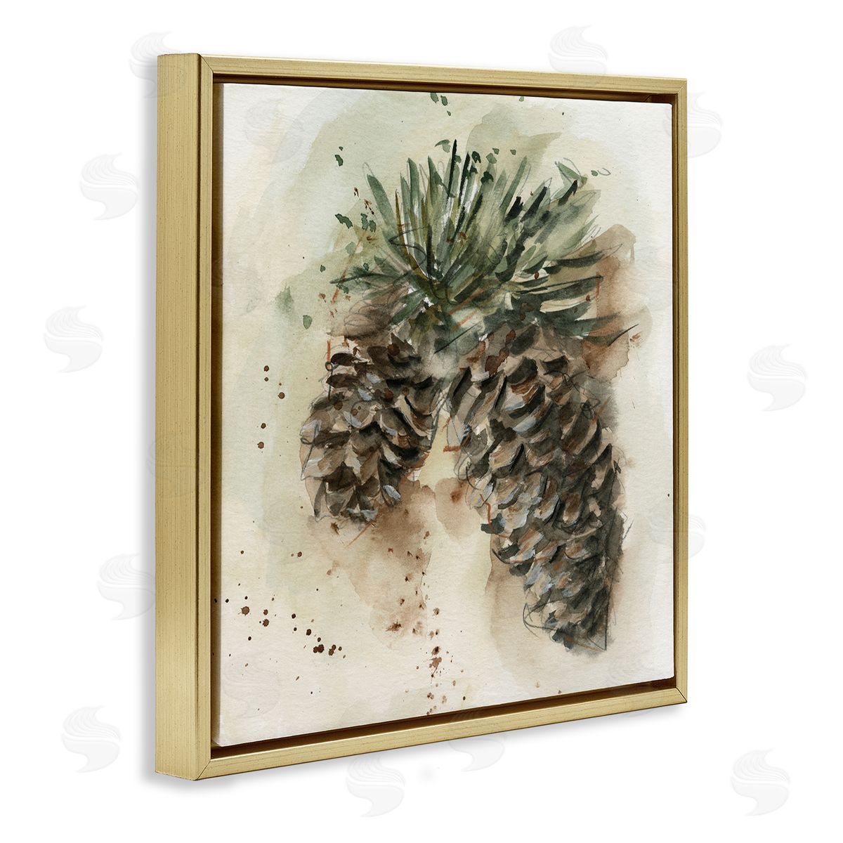 Ethan Harper Pine Cone Watercolor Gold Floating Frame Canvas Wall Art Print