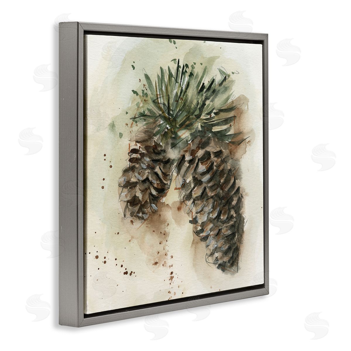 Ethan Harper Pine Cone Watercolor Gray Floating Frame Canvas Wall Art Print