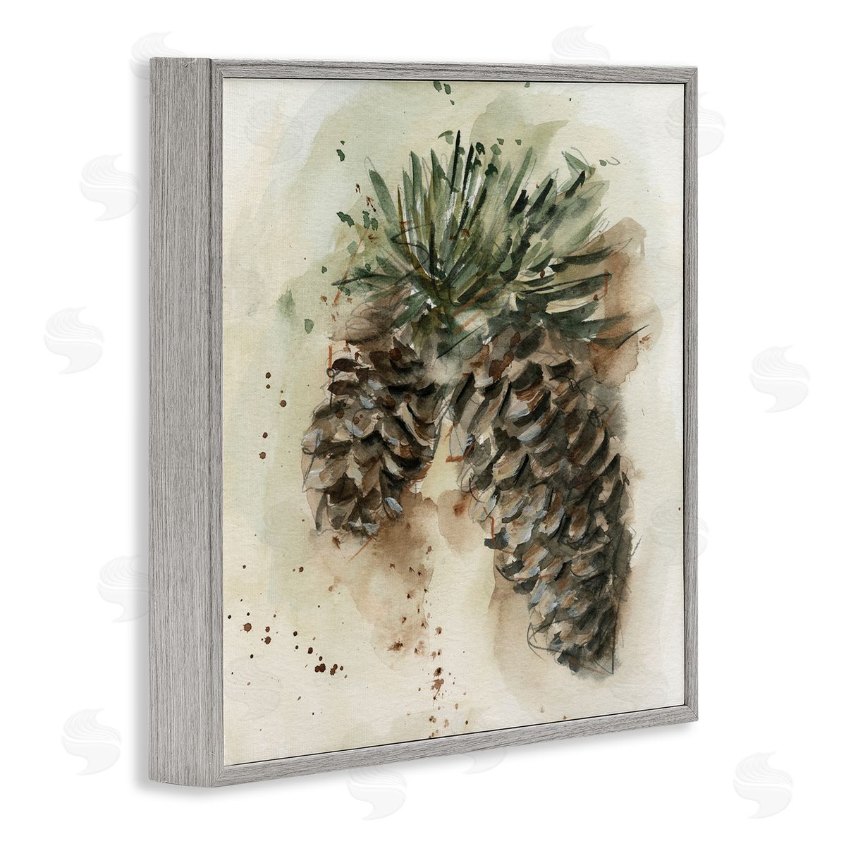 Ethan Harper Pine Cone Watercolor Gray Framed Giclee Wall Art Print
