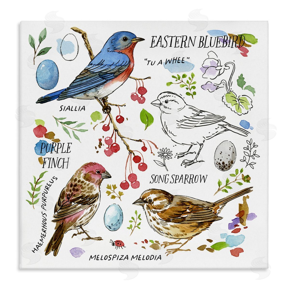Jane Maday Woodland Birds Diagram Canvas Wall Art Print