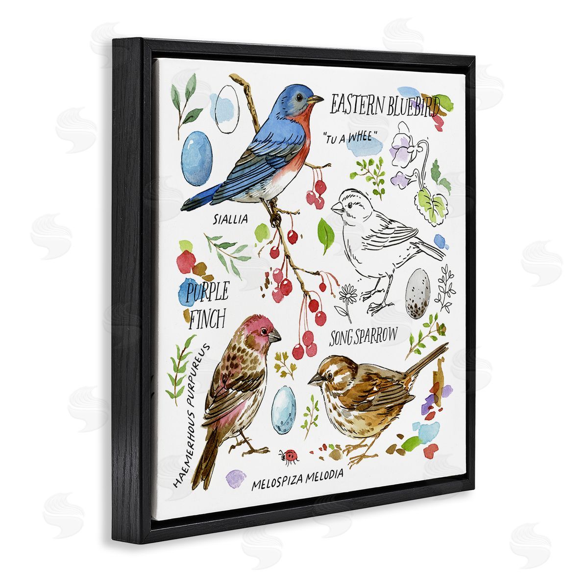 Jane Maday Woodland Birds Diagram Black Floating Frame Canvas Wall Art Print