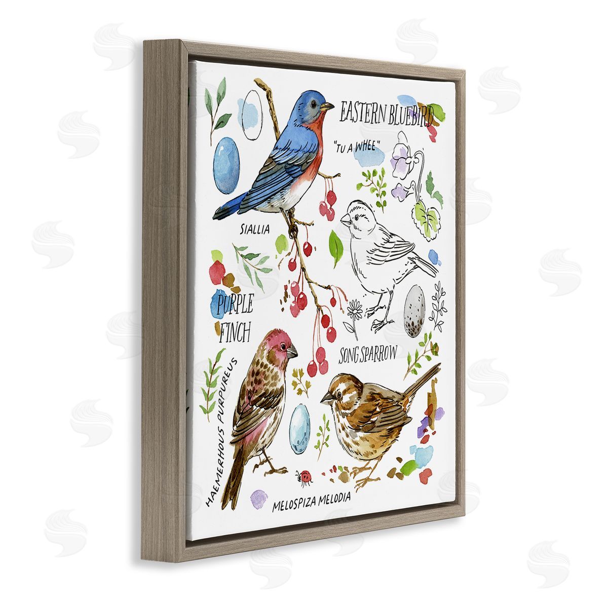 Jane Maday Woodland Birds Diagram Brown Floating Frame Canvas Wall Art Print