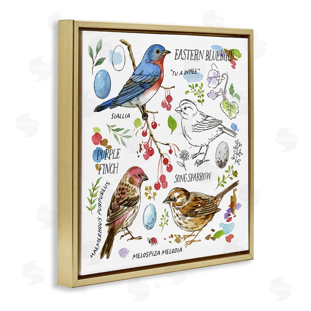 Jane Maday Woodland Birds Diagram Gold Floating Frame Canvas Wall Art Print