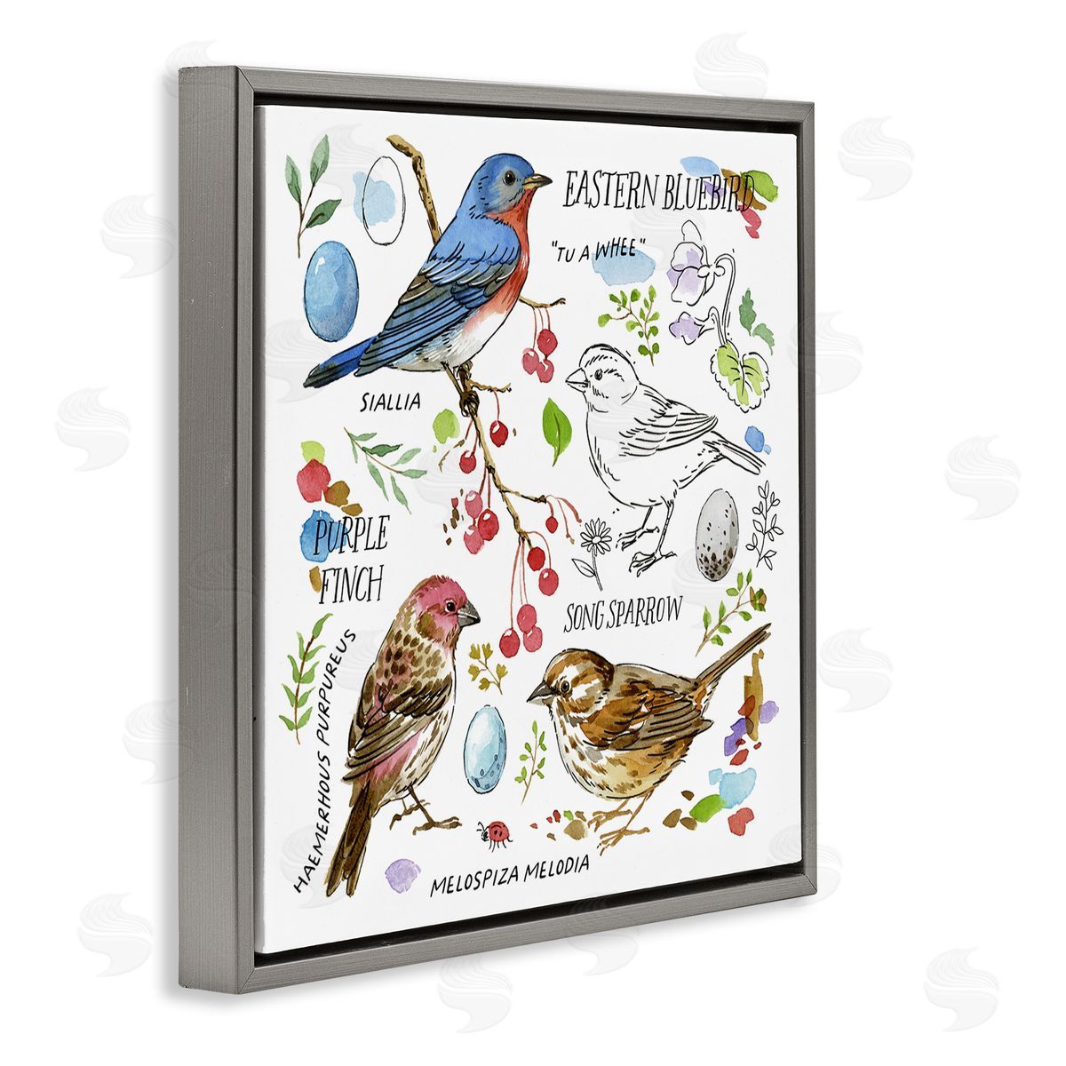 Jane Maday Woodland Birds Diagram Gray Floating Frame Canvas Wall Art Print