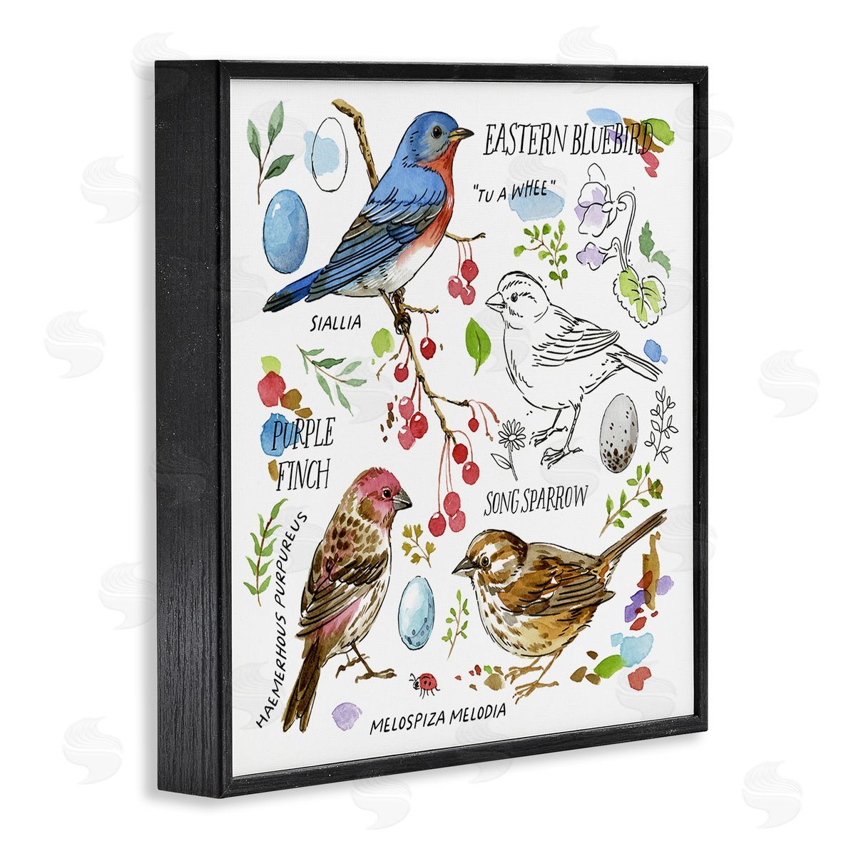 Jane Maday Woodland Birds Diagram Black Framed Giclee Wall Art Print