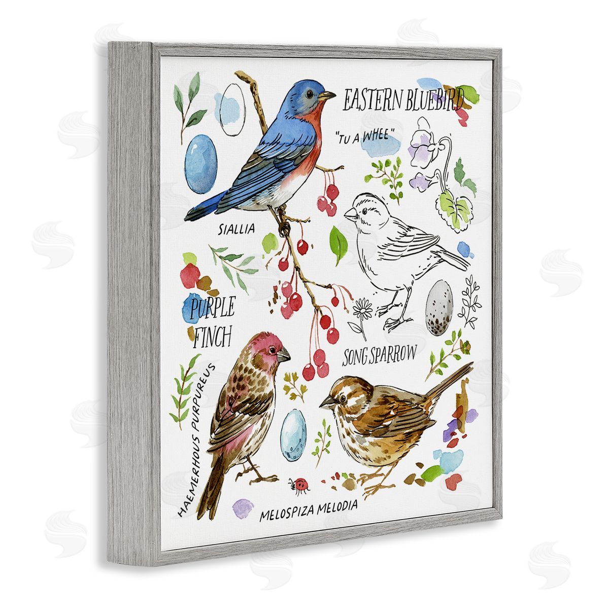 Jane Maday Woodland Birds Diagram Gray Framed Giclee Wall Art Print